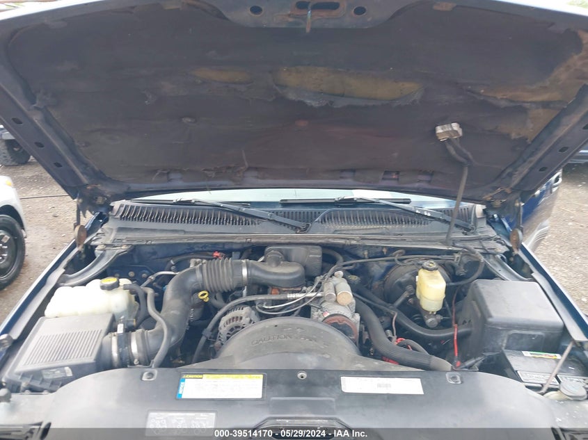 1999 Chevrolet Silverado 1500 Ls VIN: 1GCEC14W1XE245078 Lot: 39514170