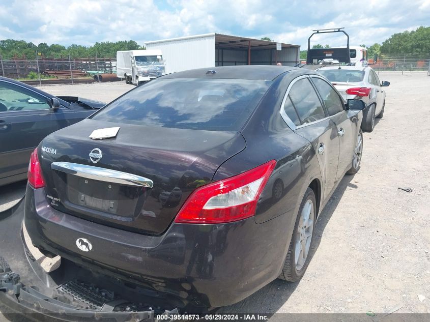 2010 Nissan Maxima 3.5 Sv VIN: 1N4AA5APXAC853523 Lot: 39514573