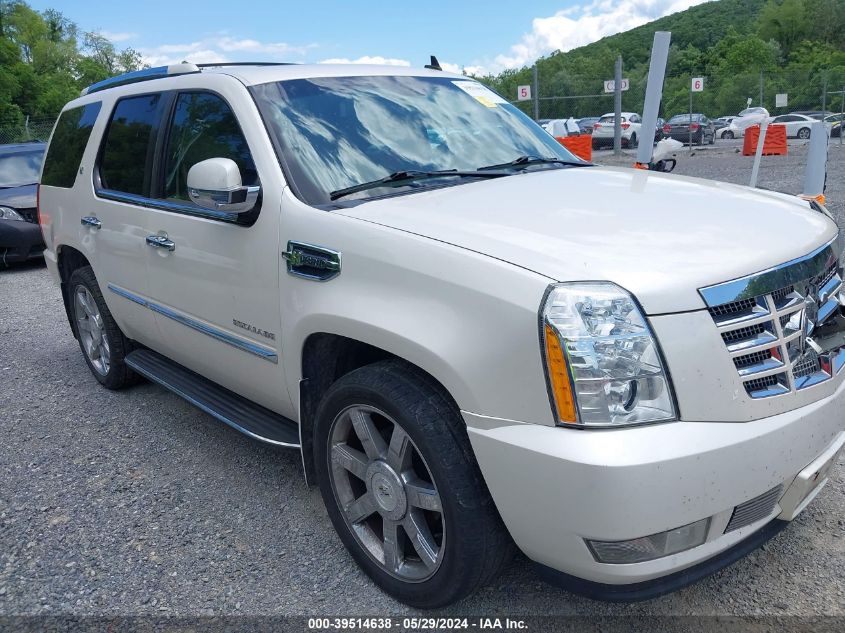 2010 Cadillac Escalade Hybrid Standard VIN: 1GYUKEEJ9AR181651 Lot: 39514638