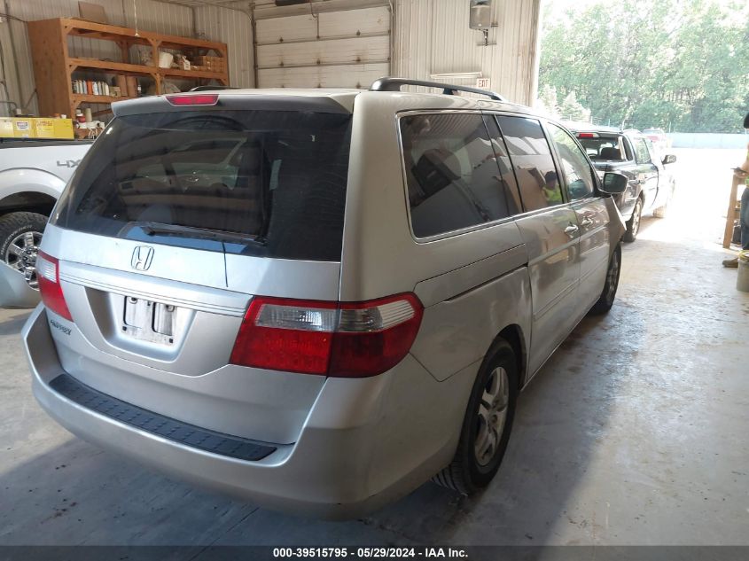 2007 Honda Odyssey Ex-L VIN: 5FNRL38747B437576 Lot: 39515795