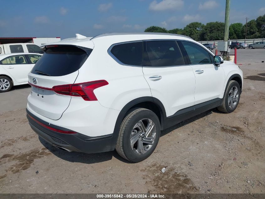 2023 Hyundai Santa Fe Sel VIN: 5NMS24AJ4PH555948 Lot: 39515842