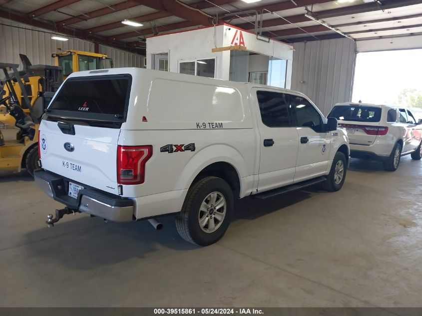 2016 Ford F-150 Xlt VIN: 1FTEW1E80GKD66130 Lot: 39515861