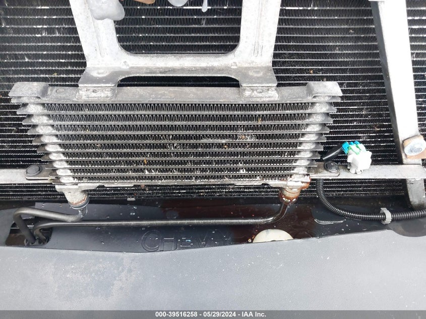 2004 Chevrolet Silverado 1500 Ls VIN: 1GCEK14T44Z251793 Lot: 39516258