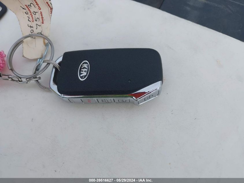 2020 Kia Telluride Ex VIN: 5XYP34HC4LG055643 Lot: 39516627