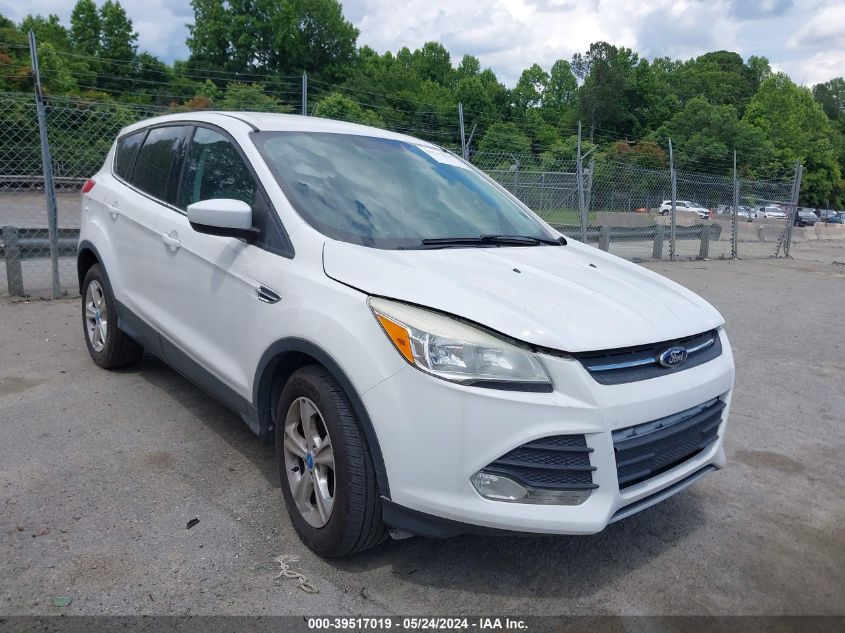 2013 Ford Escape Se VIN: 1FMCU0GX2DUC19573 Lot: 39517019