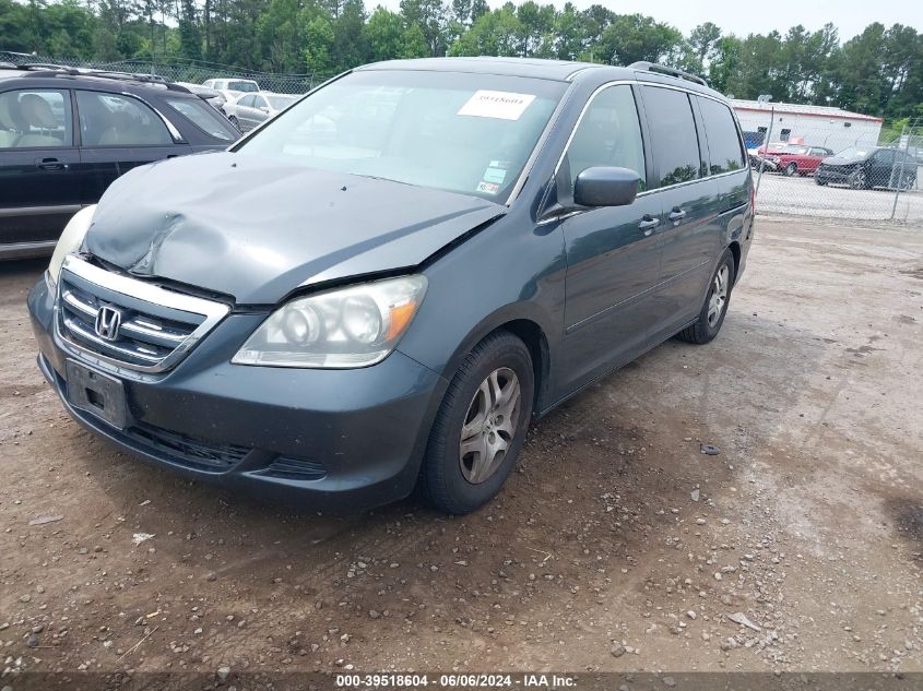 2005 Honda Odyssey Ex-L VIN: 5FNRL38735B079996 Lot: 39518604