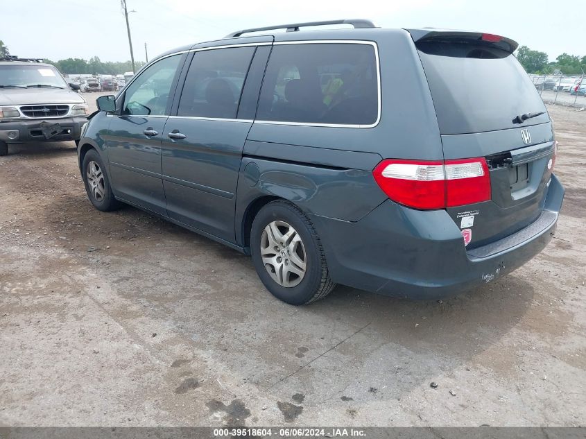 2005 Honda Odyssey Ex-L VIN: 5FNRL38735B079996 Lot: 39518604