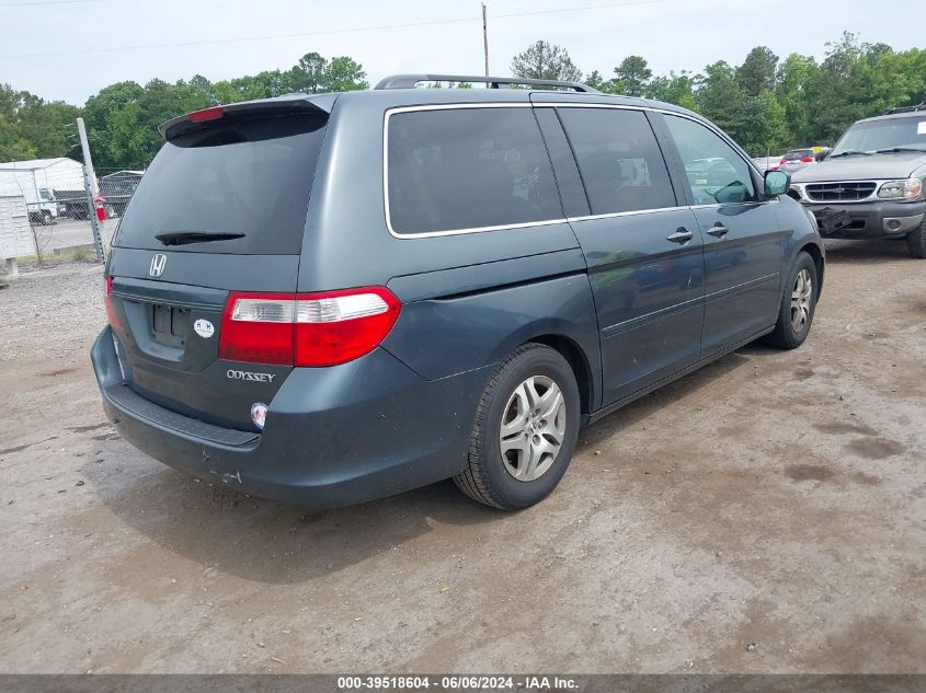 2005 Honda Odyssey Ex-L VIN: 5FNRL38735B079996 Lot: 39518604