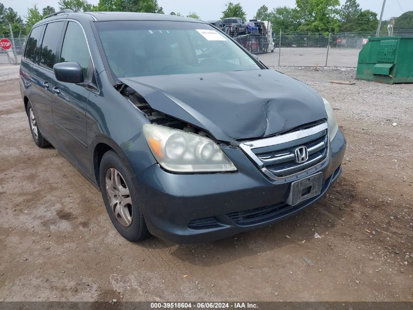 2005 Honda Odyssey Ex-L VIN: 5FNRL38735B079996 Lot: 39518604