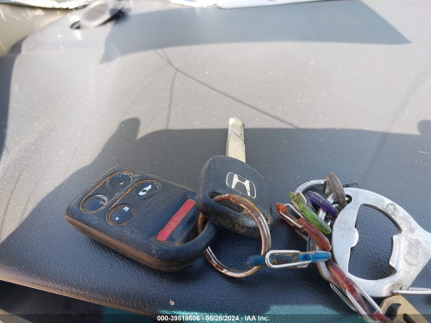 2008 Honda Odyssey Ex-L VIN: 5FNRL386X8B038731 Lot: 39518606