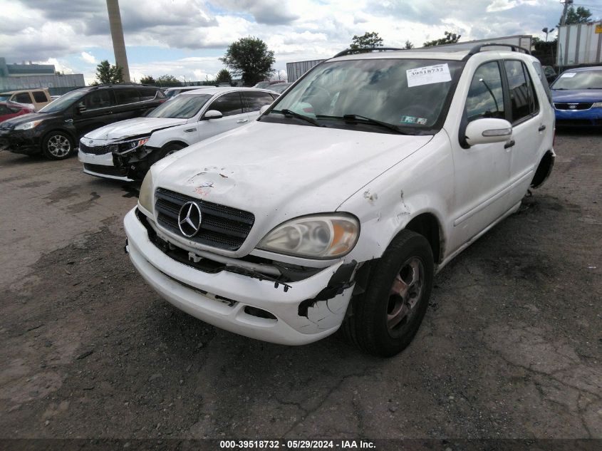 2002 Mercedes-Benz Ml 320 VIN: 4JGAB54E02A303077 Lot: 39518732