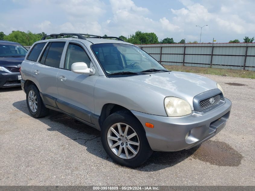 2003 Hyundai Santa Fe Gls/Lx VIN: KM8SC13D43U491055 Lot: 39518809