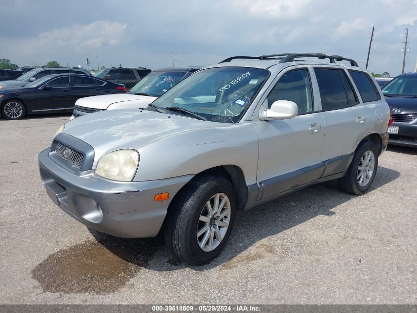 2003 Hyundai Santa Fe Gls/Lx VIN: KM8SC13D43U491055 Lot: 39518809