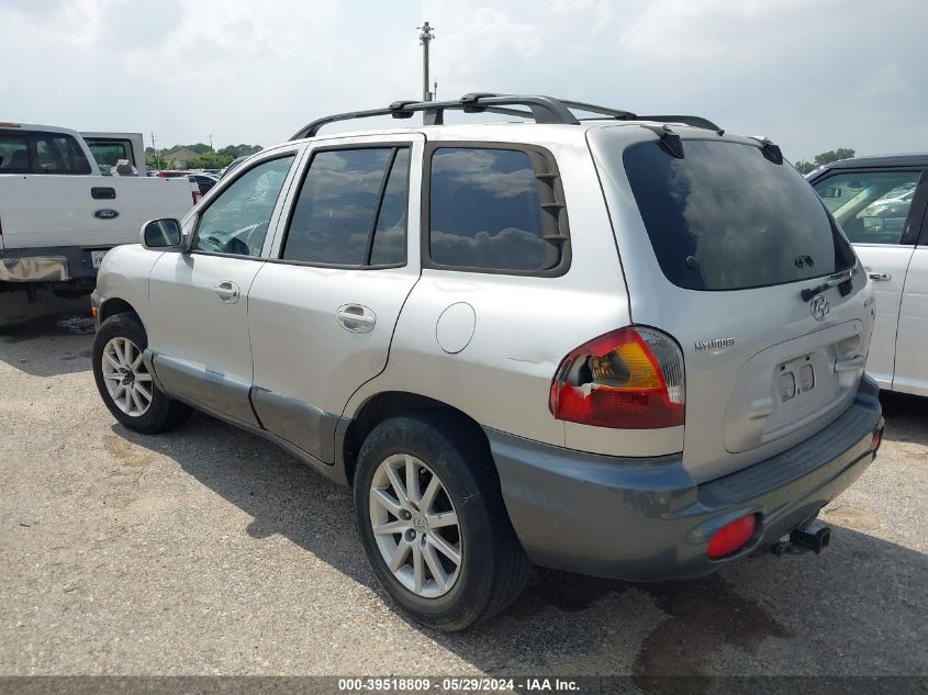 2003 Hyundai Santa Fe Gls/Lx VIN: KM8SC13D43U491055 Lot: 39518809