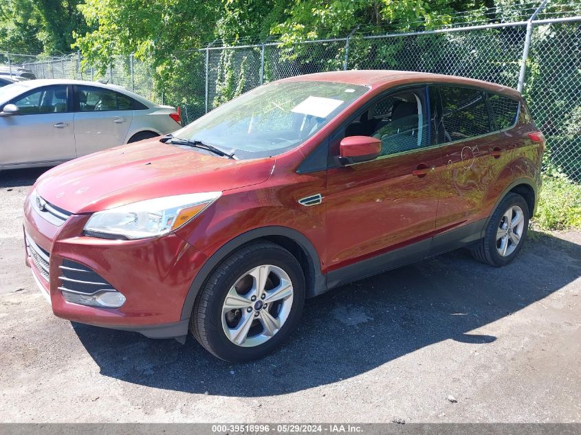 2014 Ford Escape Se VIN: 1FMCU9GX8EUD69807 Lot: 39518996