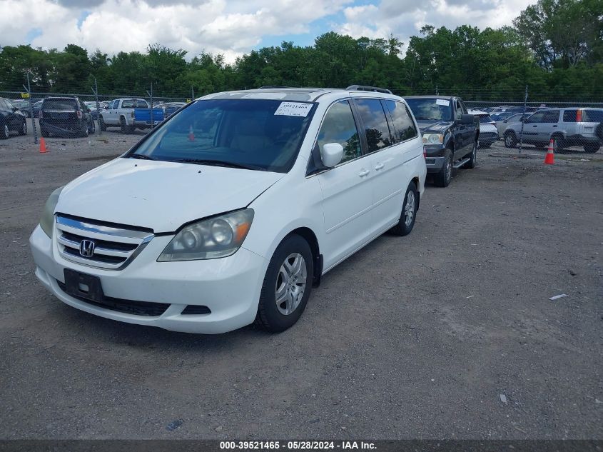 2007 Honda Odyssey Ex-L VIN: 5FNRL38747B443670 Lot: 39521465