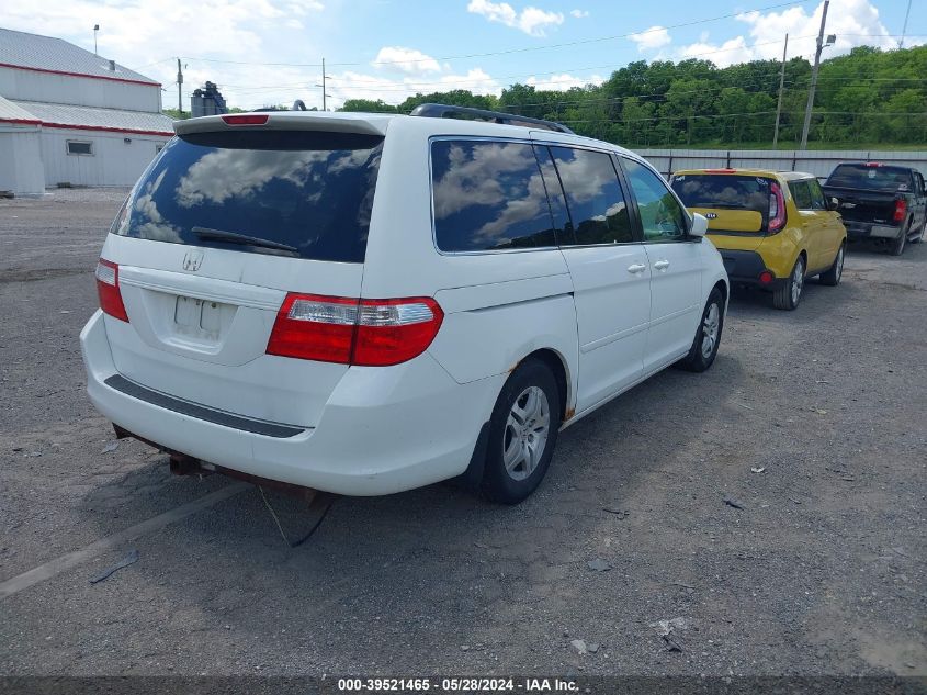 2007 Honda Odyssey Ex-L VIN: 5FNRL38747B443670 Lot: 39521465