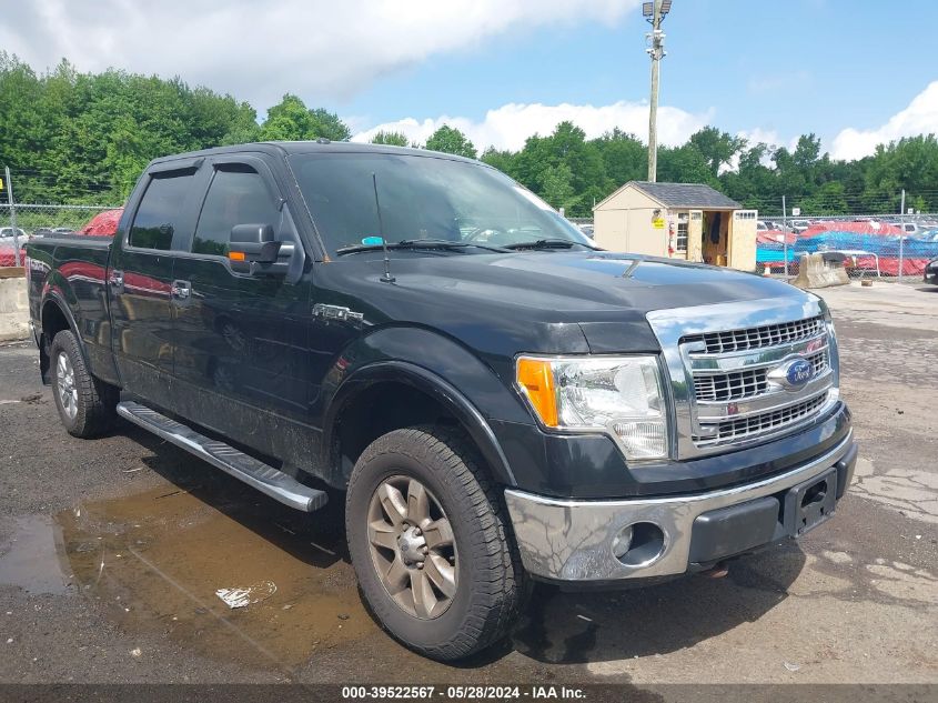 2013 Ford F-150 Xlt VIN: 1FTFW1EF7DFB05066 Lot: 39522567