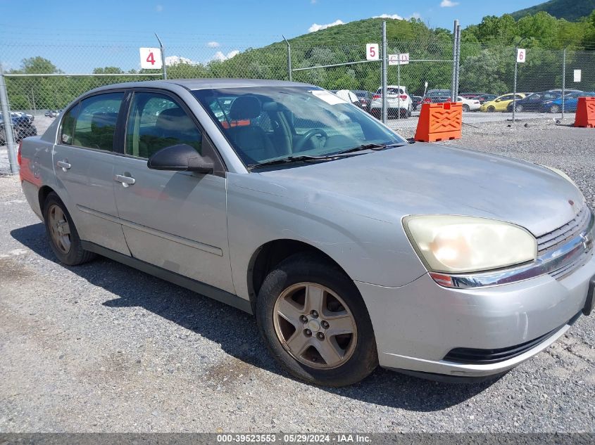 2005 Chevrolet Malibu Ls VIN: 1G1ZT52875F255191 Lot: 39523553