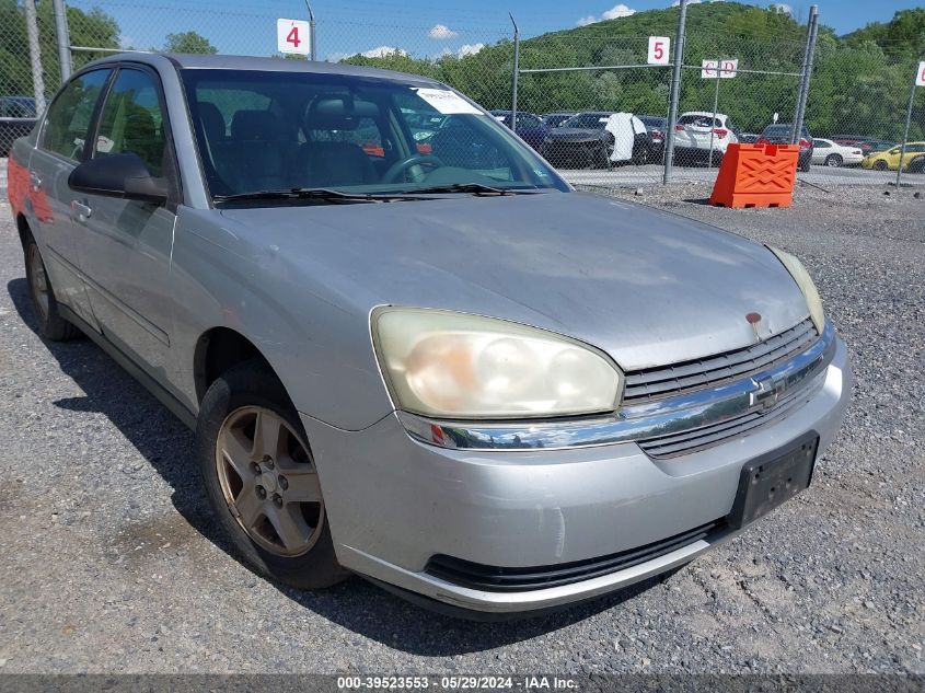 2005 Chevrolet Malibu Ls VIN: 1G1ZT52875F255191 Lot: 39523553