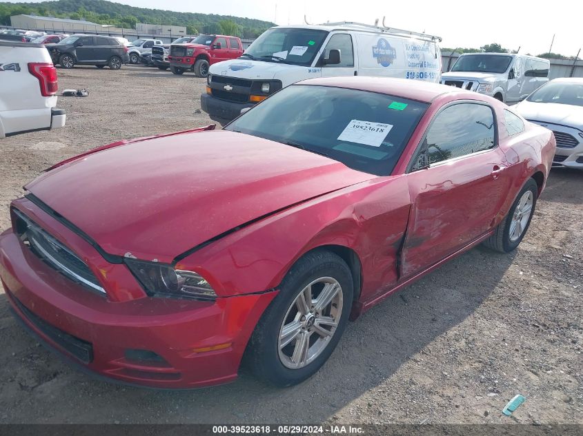 2013 FORD MUSTANG - 1ZVBP8AM3D5274917