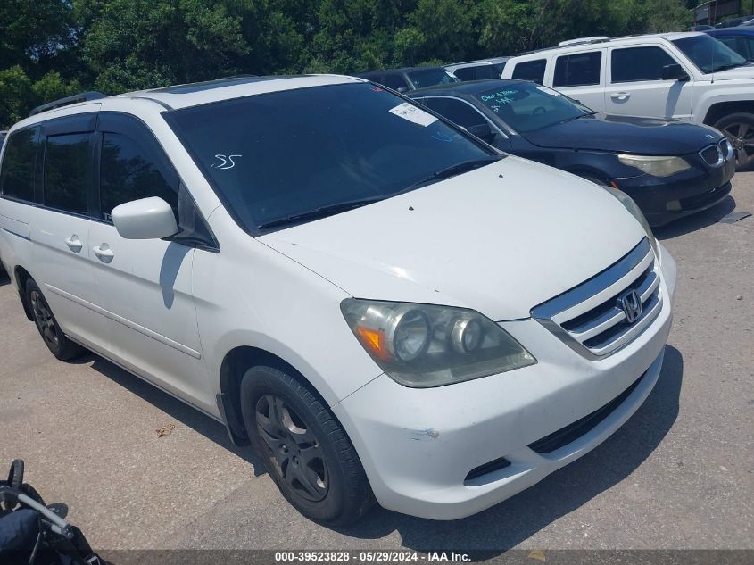 2007 Honda Odyssey Ex-L VIN: 5FNRL38777B105325 Lot: 39523828