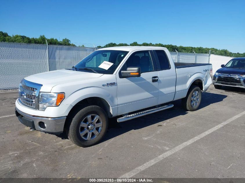 2013 Ford F-150 Xlt VIN: 1FTFX1EF0DFC03904 Lot: 39525283