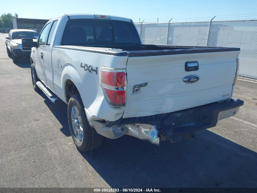 2013 Ford F-150 Xlt VIN: 1FTFX1EF0DFC03904 Lot: 39525283