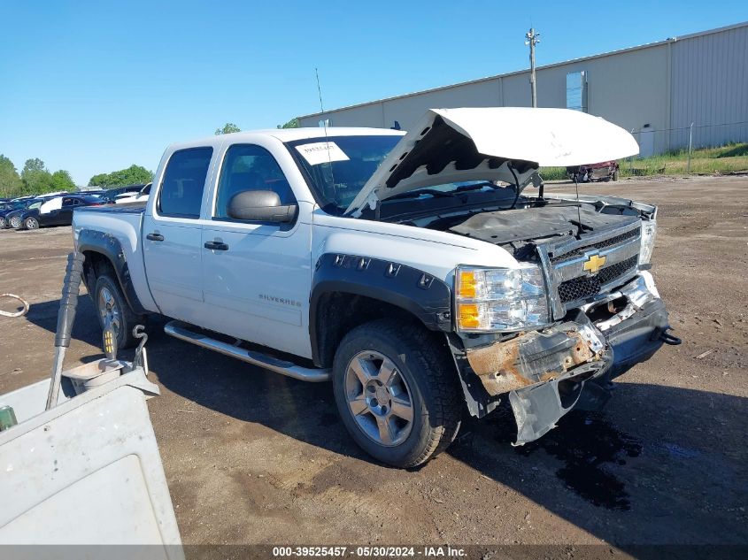 2010 Chevrolet Silverado 1500 Ls VIN: 3GCRKREAXAG195187 Lot: 39525457