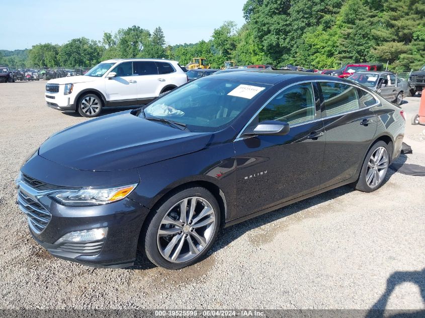 2023 Chevrolet Malibu Fwd 2Lt VIN: 1G1ZE5ST5PF156466 Lot: 39525595