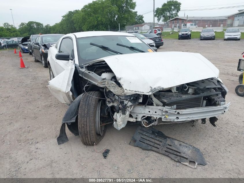 2013 FORD MUSTANG - 1ZVBP8AM4D5205752