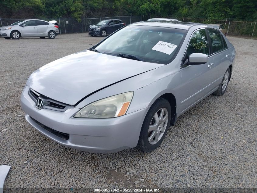 2005 Honda Accord 3.0 Ex VIN: 1HGCM66575A046368 Lot: 39527962