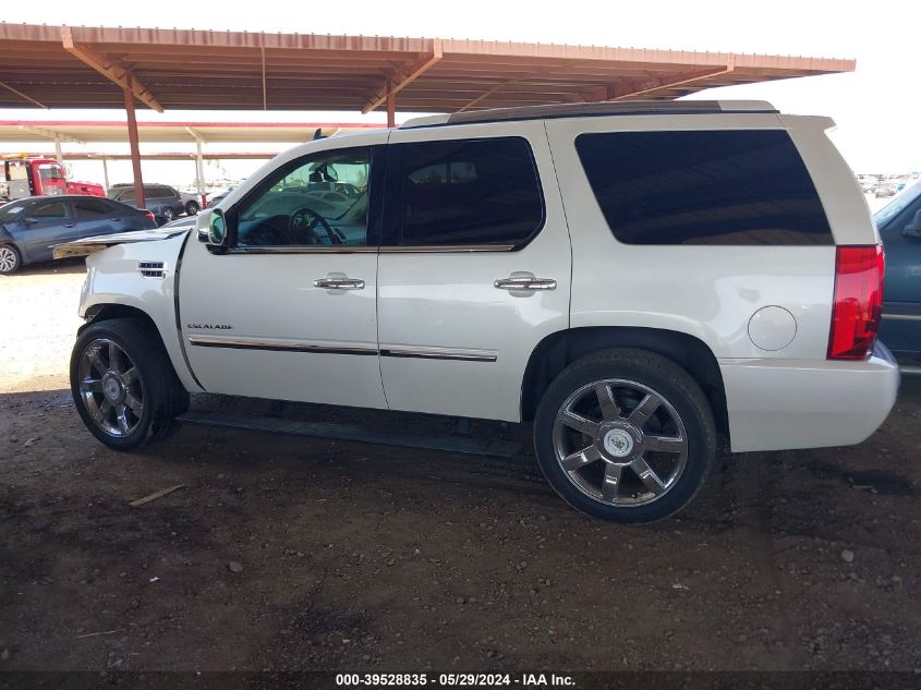 2011 Cadillac Escalade Premium VIN: 1GYS4CEF9BR137698 Lot: 39528835