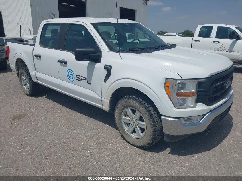 2021 FORD F-150 XL - 1FTFW1E53MKE56815