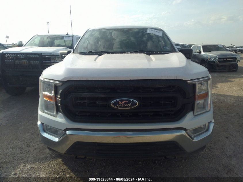 2021 FORD F-150 XL - 1FTFW1E53MKE56815