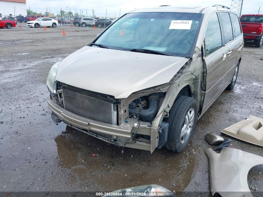 2006 Honda Odyssey Ex-L VIN: 5FNRL38626B401584 Lot: 39528884
