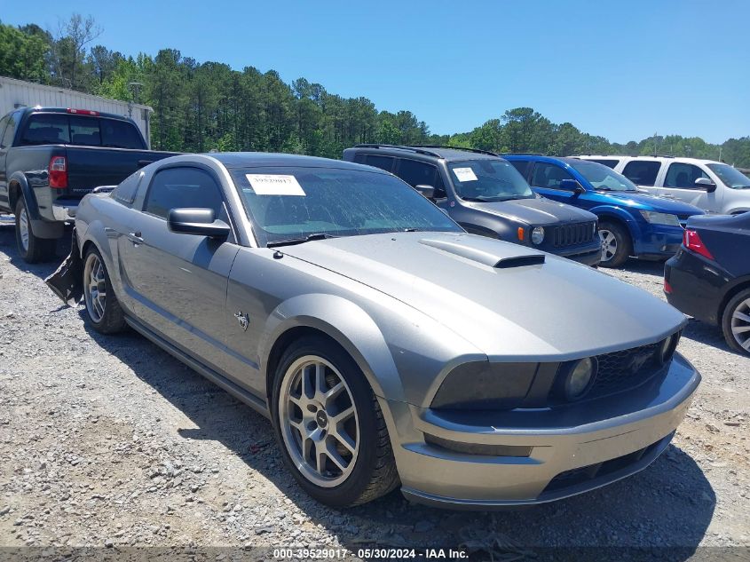 2009 Ford Mustang Gt/Gt Premium VIN: 1ZVHT82H095116243 Lot: 39529017