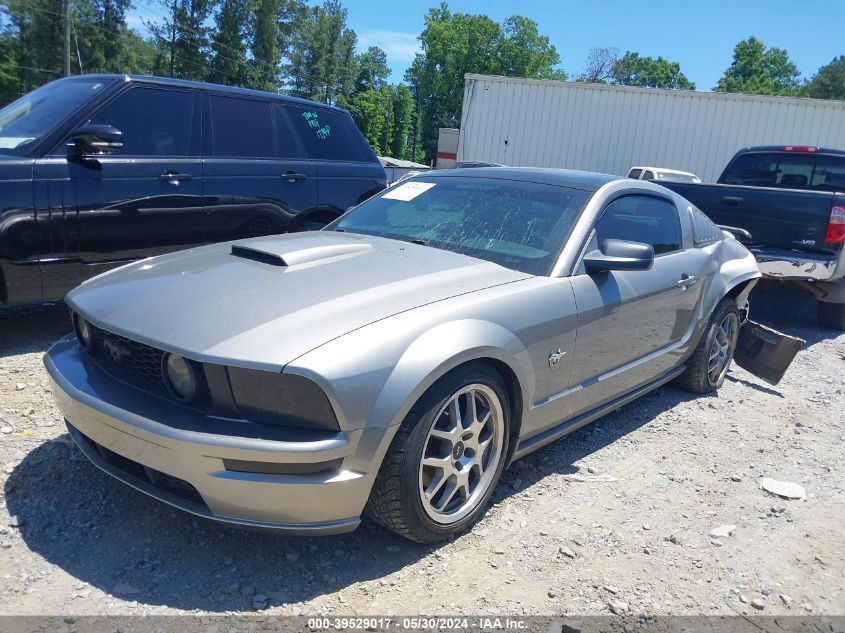 2009 Ford Mustang Gt/Gt Premium VIN: 1ZVHT82H095116243 Lot: 39529017