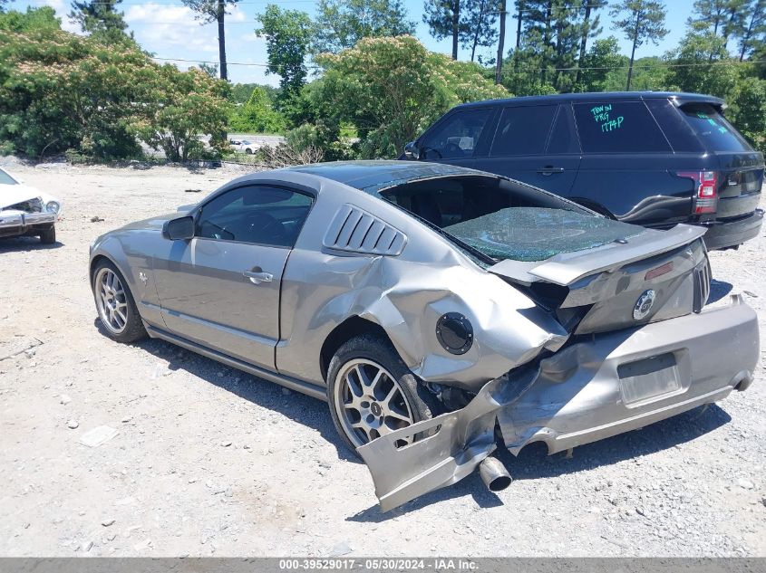 2009 Ford Mustang Gt/Gt Premium VIN: 1ZVHT82H095116243 Lot: 39529017