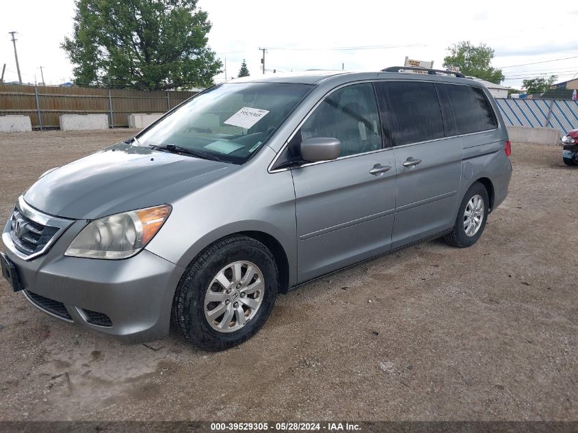 2008 Honda Odyssey Ex-L VIN: 5FNRL38608B092037 Lot: 39529305