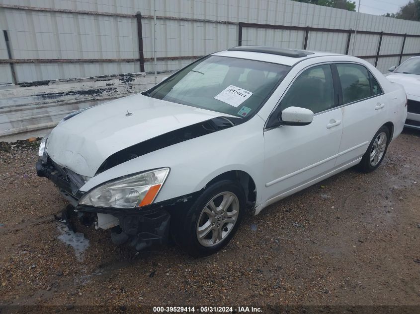 2006 Honda Accord Sdn Ex-L VIN: JHMCM56806C008391 Lot: 39529414