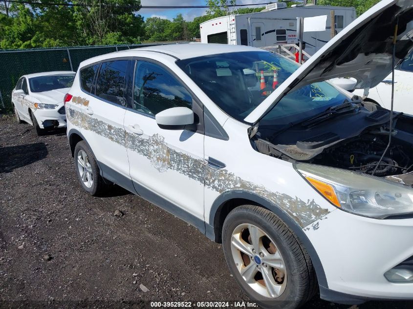 2013 Ford Escape Se VIN: 1FMCU9GX5DUD71867 Lot: 39529522