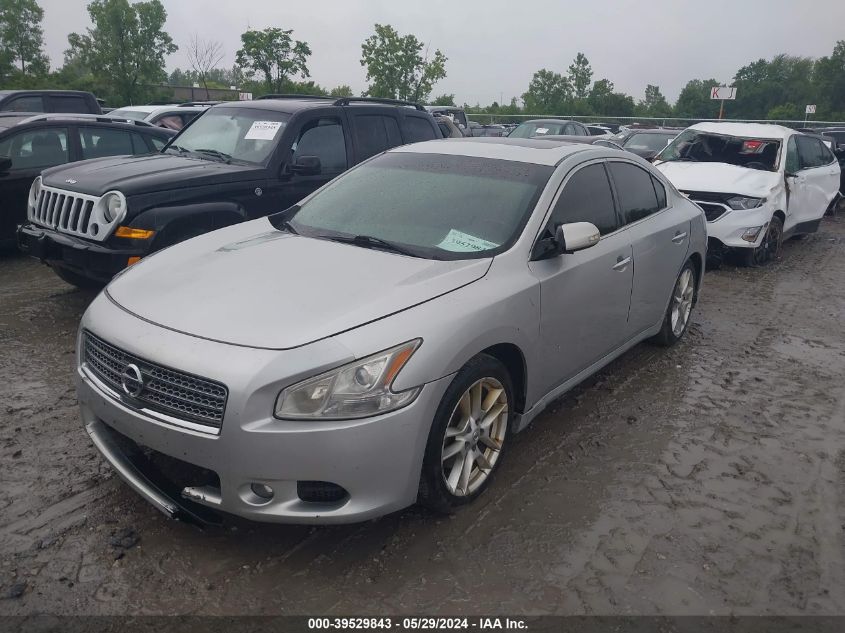 2010 Nissan Maxima 3.5 Sv VIN: 1N4AA5AP7AC835710 Lot: 39529843