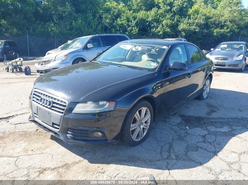2011 Audi A4 2.0T Premium VIN: WAUBFAFL6BN056297 Lot: 39529870