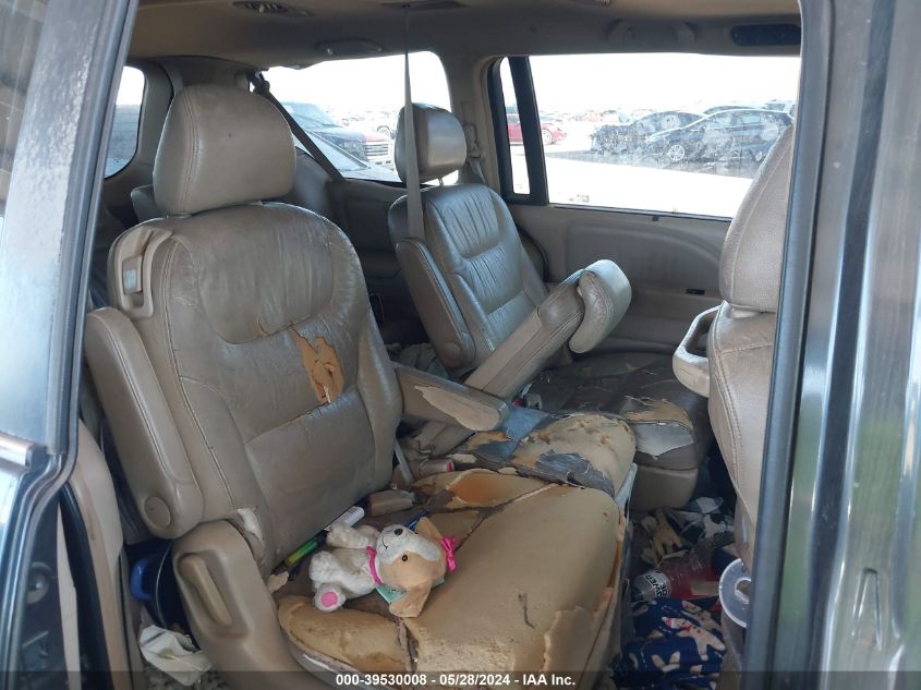 2005 Honda Odyssey Ex-L VIN: 5FNRL38695B038862 Lot: 39530008