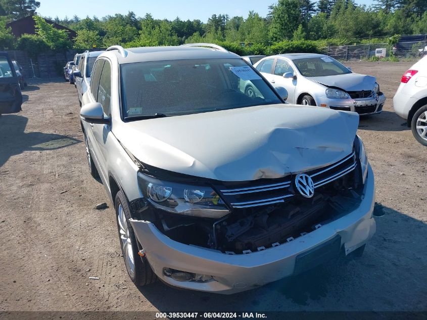 2013 Volkswagen Tiguan Se VIN: WVGBV3AX8DW075969 Lot: 39530447