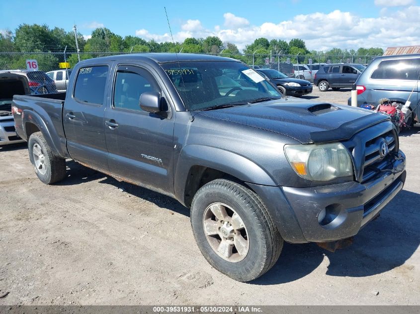 2009 Toyota Tacoma Base V6 VIN: 3TMMU52N79M012989 Lot: 39531931