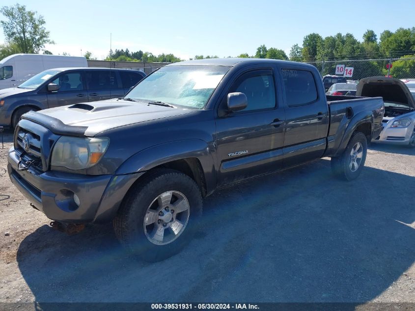 2009 Toyota Tacoma Base V6 VIN: 3TMMU52N79M012989 Lot: 39531931