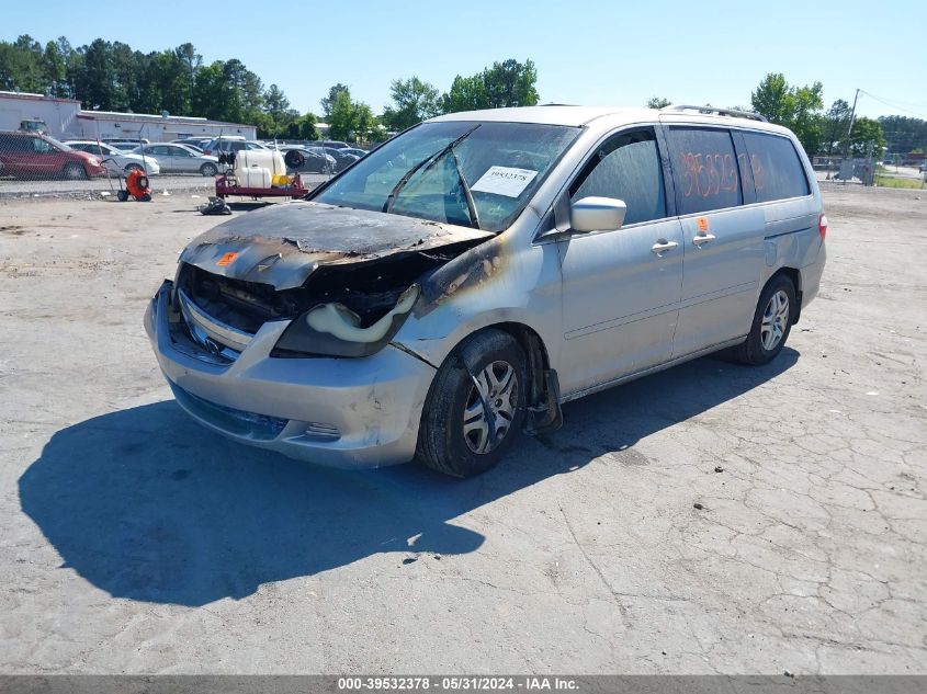 2005 Honda Odyssey Ex VIN: 5FNRL38465B420345 Lot: 39532378