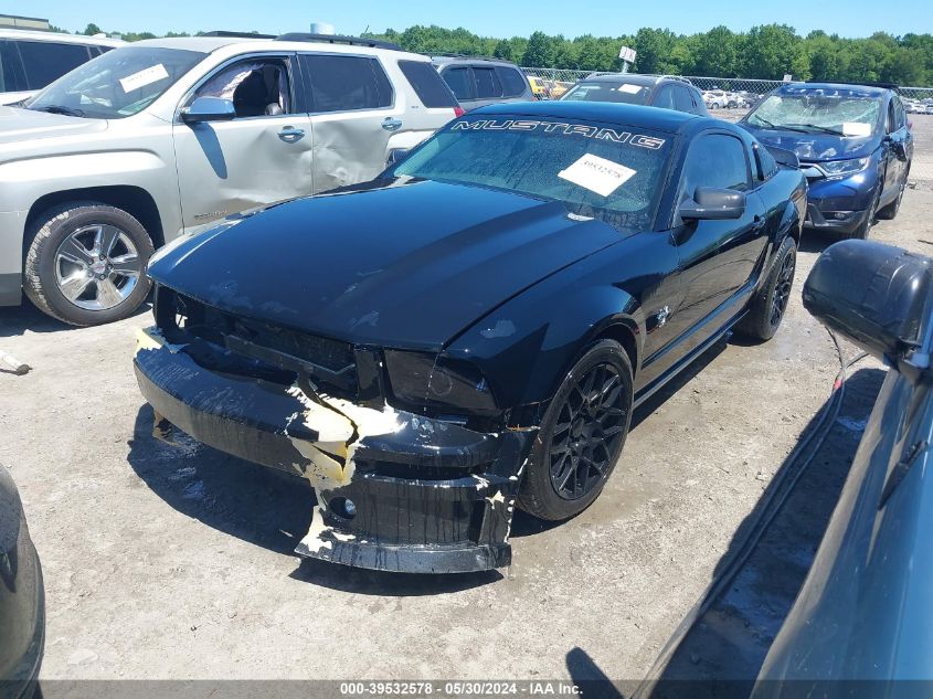 2009 Ford Mustang V6 VIN: 1ZVHT80N095127896 Lot: 39532578